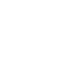 Von Haus Electric